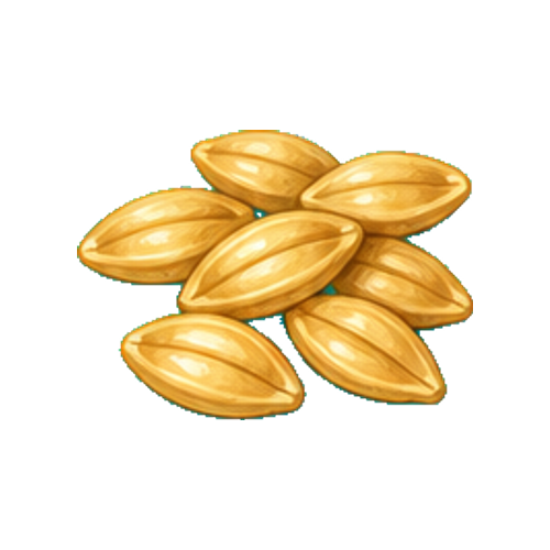 Ether Barley Grain