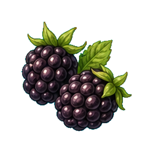 Blackberry
