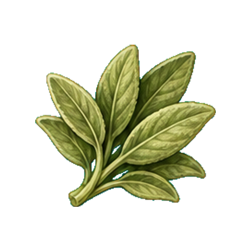 Garden Sage