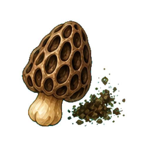Shadow Morel Spore