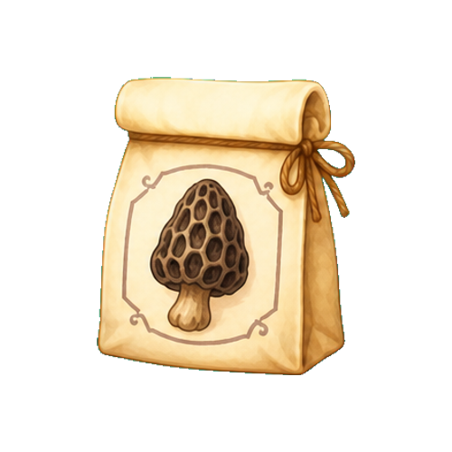 Shadow Morel Spore