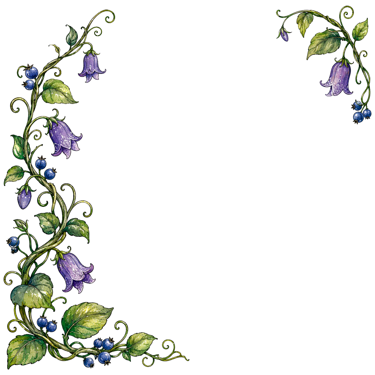 Night Orchid Vines