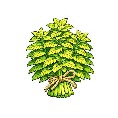Dragonmint Cutting