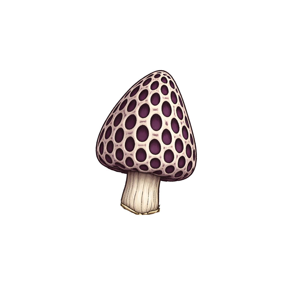 Shadow Morel Spore